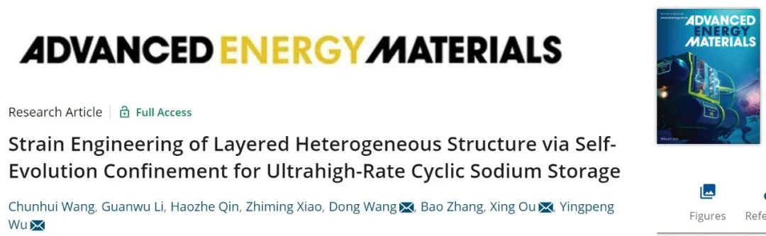 吳英鵬/王東/歐星AEM：受巢狀結構啟發，獲得超高倍率鈉離子電池正極！