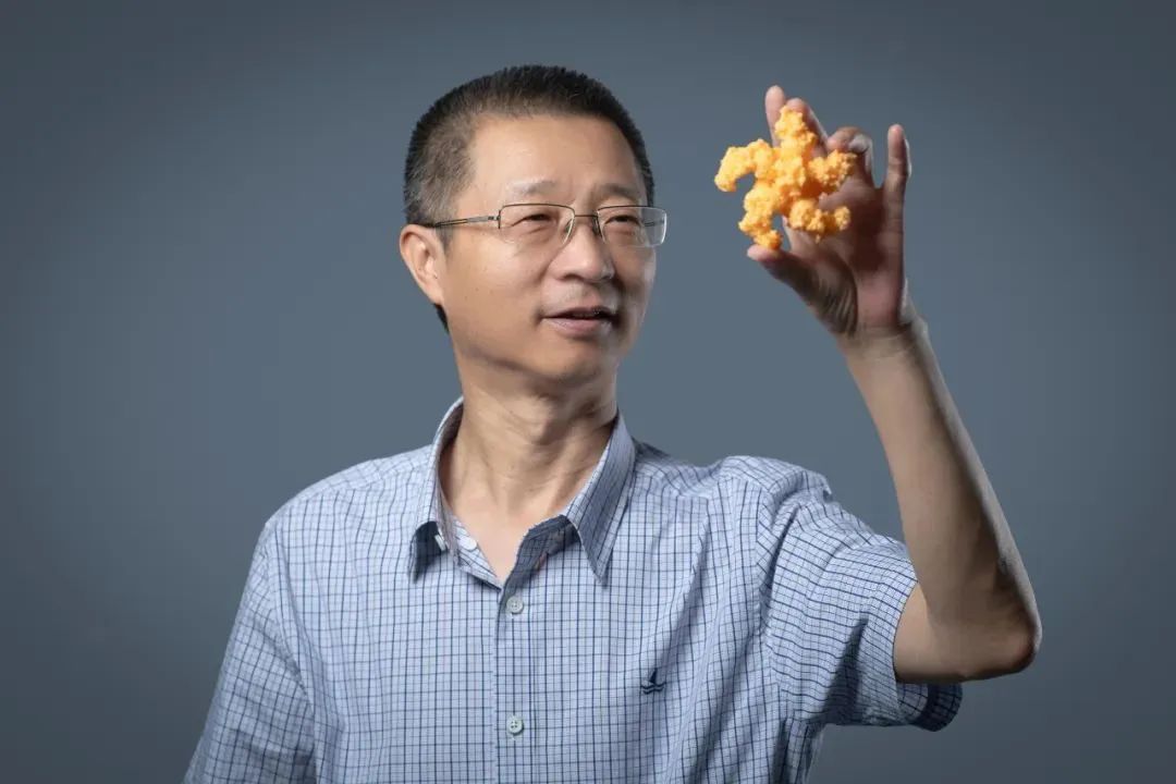 全職歸國！3名頂尖學者，密集加盟西湖大學！