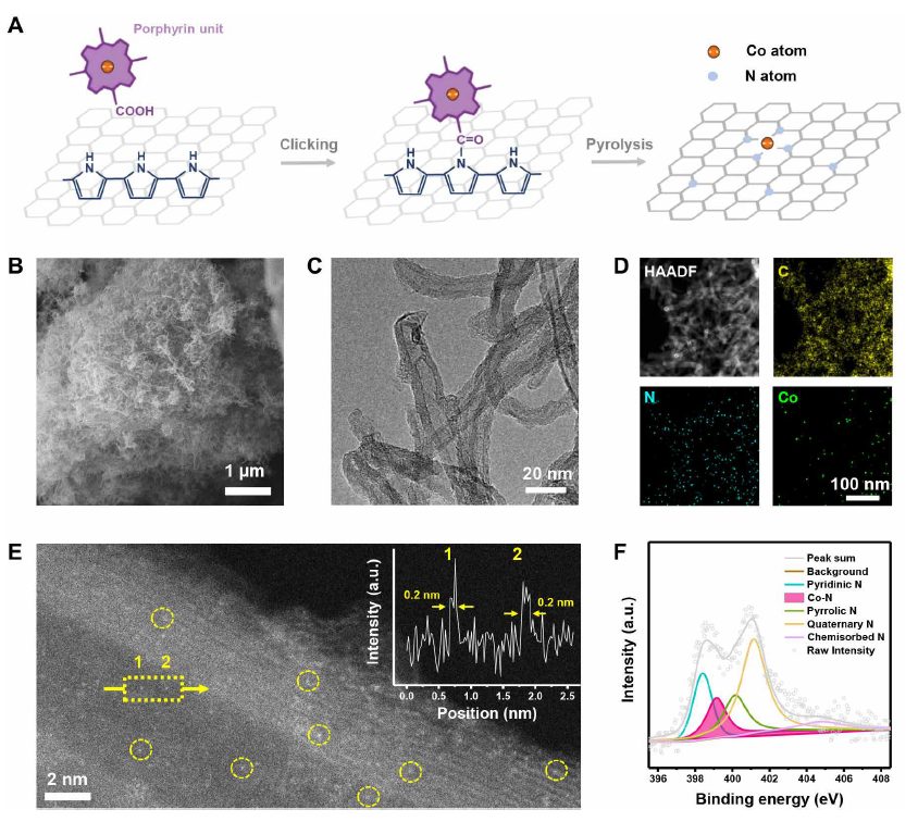 清華大學張強教授，最新Science Advances！