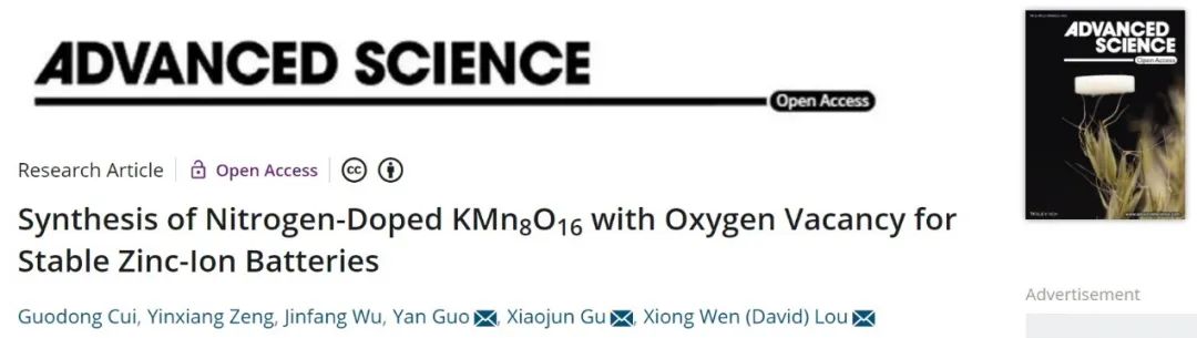 樓雄文/谷曉俊/郭艷Adv. Sci.：具有氧空位和氮摻雜的KMn8O16實現穩定的鋅離子電池