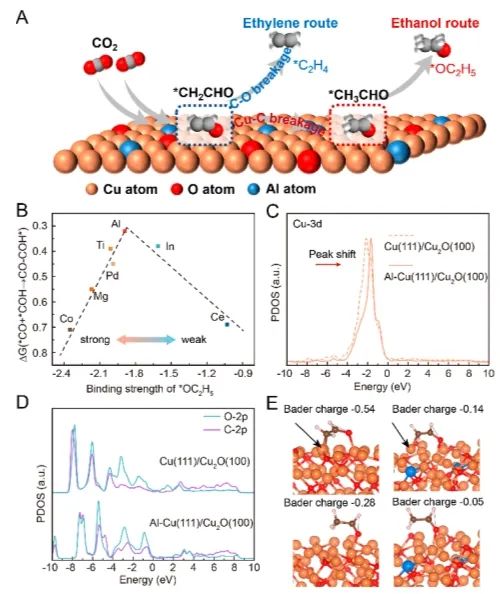 催化頂刊集錦：Angew、JACS、Nature子刊、AFM、ACS Catal.、Adv. Sci.等成果