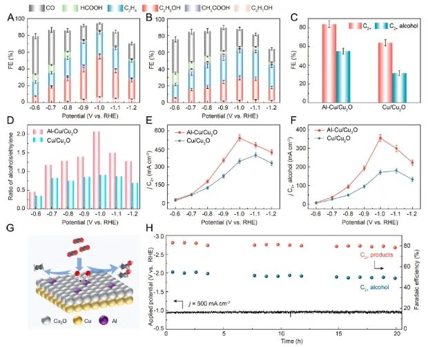 催化頂刊集錦：Angew、JACS、Nature子刊、AFM、ACS Catal.、Adv. Sci.等成果