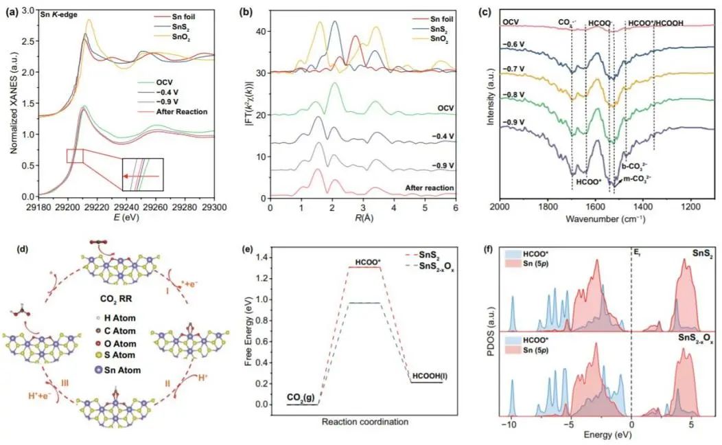 催化頂刊集錦：ACS Catalysis、Small、Nano Energy、NML、Appl. Catal. B.等成果
