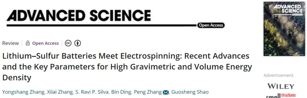 鄭大張鵬Adv. Sci.：靜電紡絲在鋰硫電池中的應用歷程