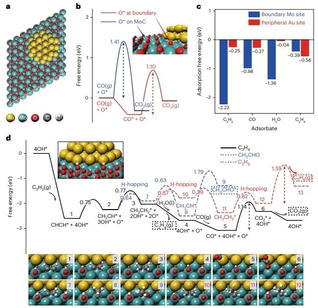 ?鄧德會/于良Nature Catalysis：H2O作氫源，實現低溫下Au/α-MoC催化乙炔加氫制乙烯