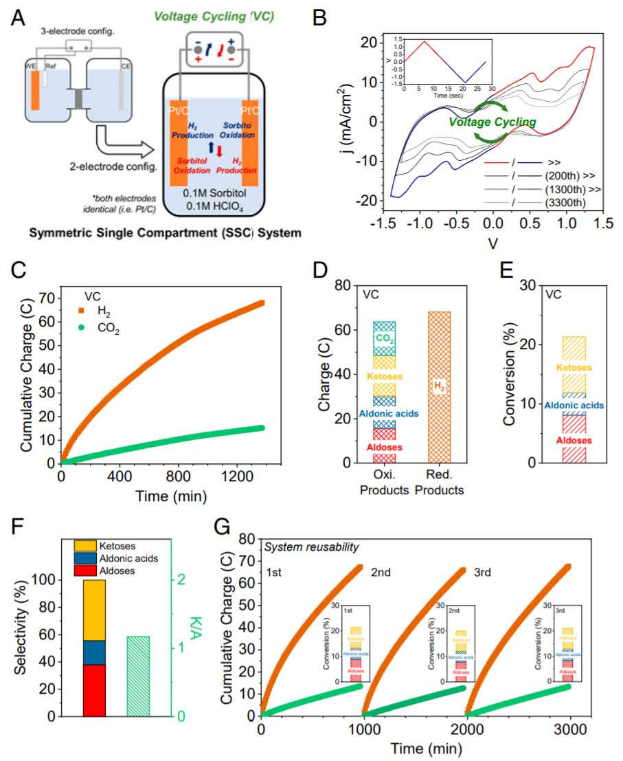 PNAS：電催化新概念！電位循環(huán)，產(chǎn)物蹭蹭蹭往上漲！