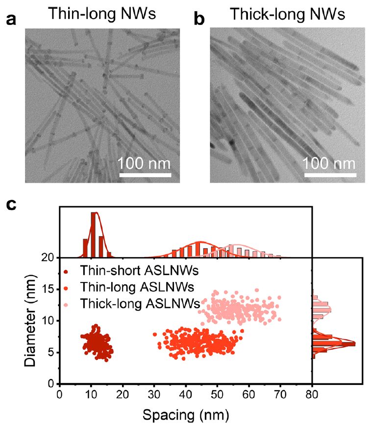 ?三摘國家自然科學(xué)二等獎，俞書宏院士最新JACS：合成一維超晶格納米線！