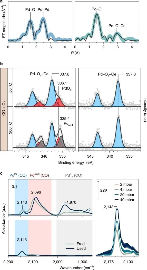 單原子催化領域，再獲一篇Nature Catalysis！