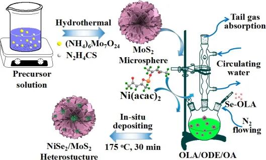 8篇催化頂刊集錦：AFM、Nano Lett.、ACS Catal.、Chem. Eng. J.等成果
