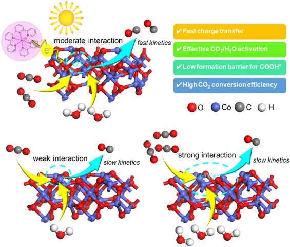 8篇催化頂刊集錦：AFM、Nano Lett.、ACS Catal.、Chem. Eng. J.等成果