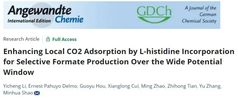 ?邵敏華/張玉Angew：L-組氨酸強化局部CO2吸附，增強CO2電還原為甲酸鹽的選擇性