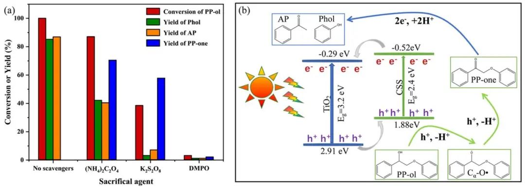 ?長安大學ACS Catalysis：CdS-SH/TiO2異質(zhì)結助力木質(zhì)素中C-O鍵斷裂