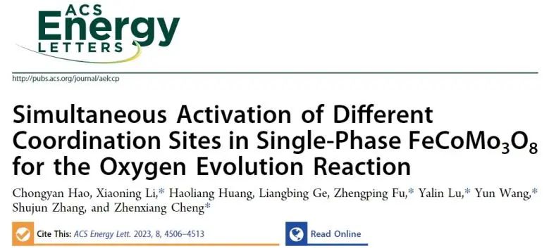 ?催化頂刊集錦：Nature子刊、Angew、AFM、ACS Nano、ACS Energy Lett.等成果