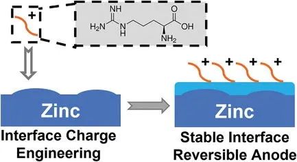 電池頂刊集錦：EES、AEM、AFM、Adv. Sci.、EnSM、Small等最新成果