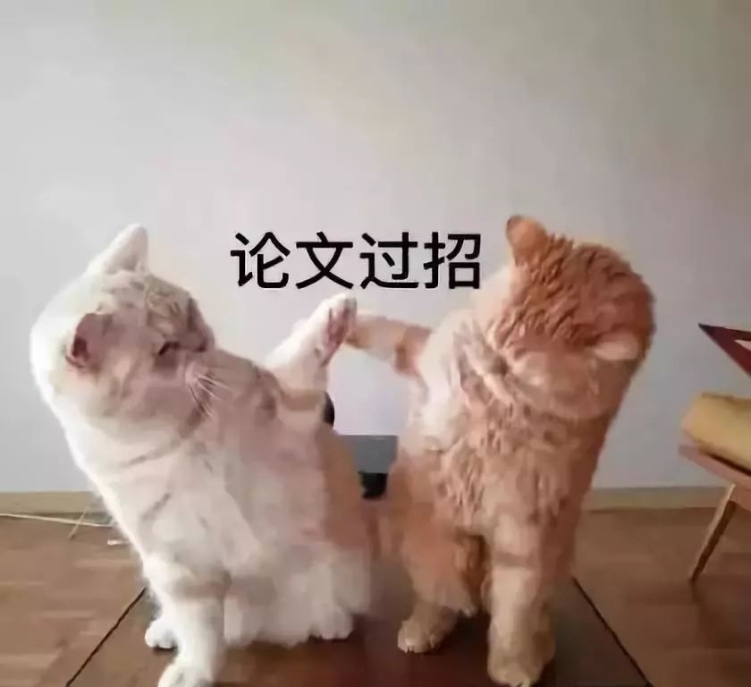 男博士勿入！當(dāng)代女博士迷惑行為大賞，哈哈哈哈哈……