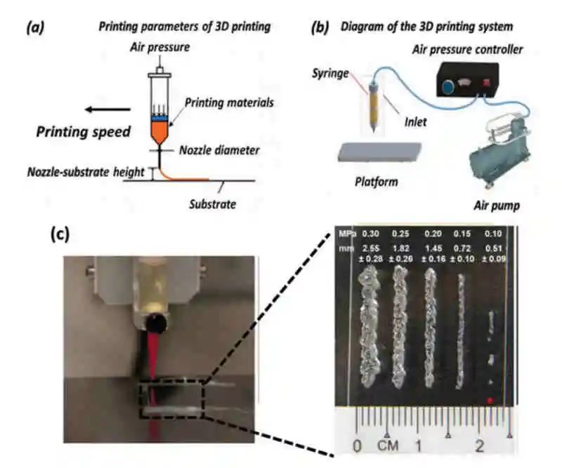 臥龍崗大學最新AFM綜述：3D打印穿戴式電化學能源裝置
