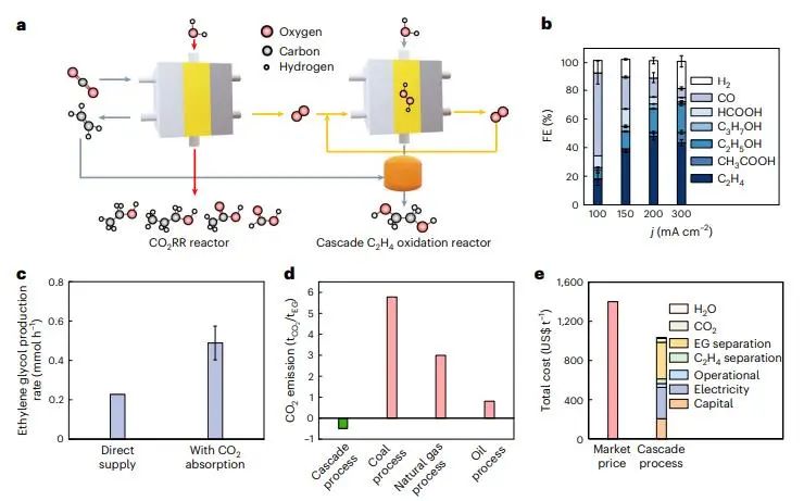 汪磊Nature Catalysis：構建級聯催化過程，實現選擇性高速乙二醇生產