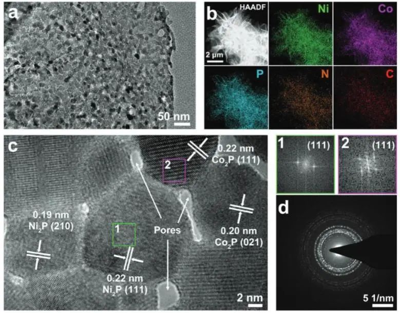 AFM：空間受限拓撲轉(zhuǎn)換策略立大功，構(gòu)建Ni2P-Co2P異質(zhì)結(jié)構(gòu)實現(xiàn)高效尿素電解