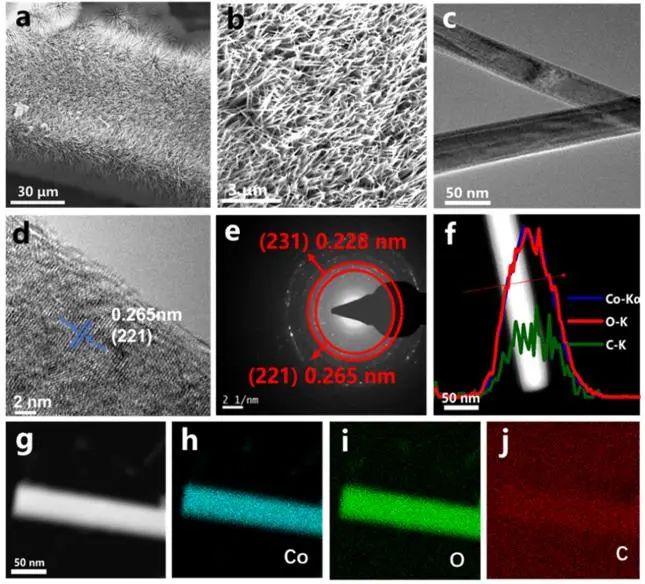 催化頂刊集錦：Nature子刊、JACS、Angew.、AFM、Nano Letters、ACS Catal.等成果