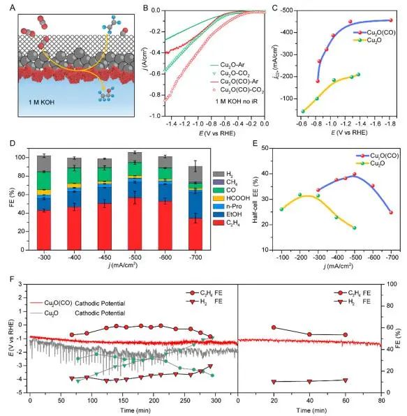 催化頂刊集錦：Nature子刊、JACS、ACS Nano、ACS Energy Lett.、AFM、NML等成果