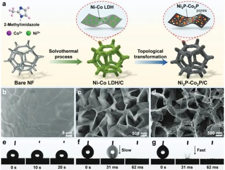 催化頂刊集錦：Nature子刊、JACS、ACS Nano、ACS Energy Lett.、AFM、NML等成果