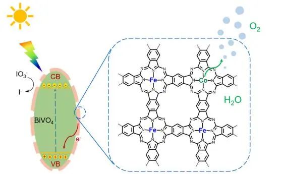 李斐課題組ACS Catalysis：雜金屬多酞菁修飾BiVO4表面，實現高效光催化水氧化