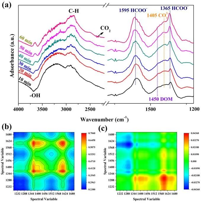 榮少鵬ACS Catalysis：首次報道！控制Mn3O4納米棒的暴露面用于光熱協同催化氧化甲醛