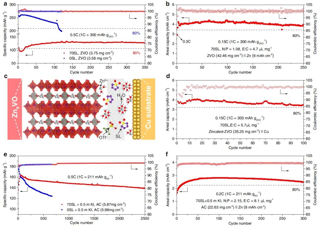 電池頂刊集錦：Nature子刊、AM、AEM、Angew.、AFM、Matter等成果！