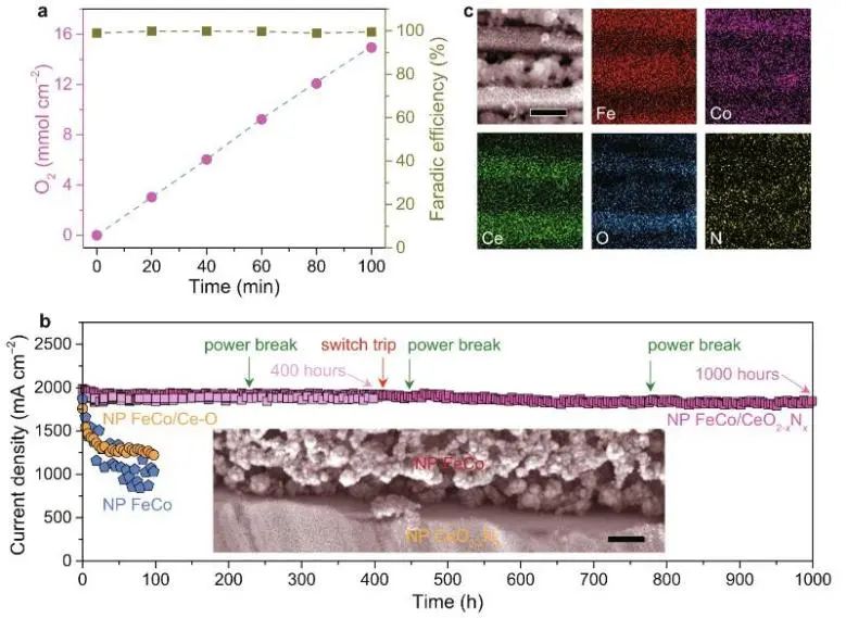 催化頂刊集錦：Nature子刊、JACS、AFM、ACS Catalysis、Nano Energy等