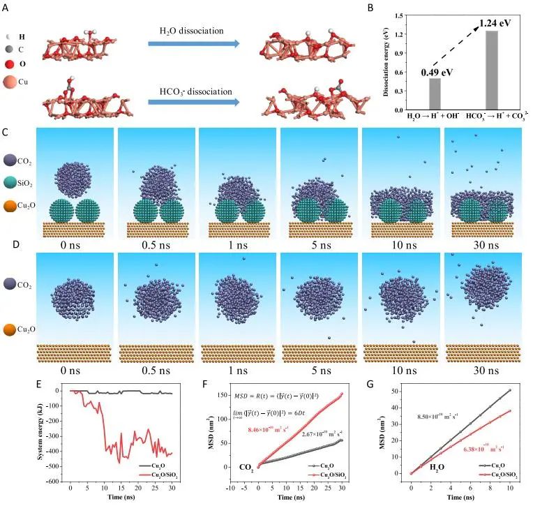 催化頂刊集錦：JACS、AEM、AFM、Adv. Sci.、ACS Catal.、ACS Nano、Small等成果