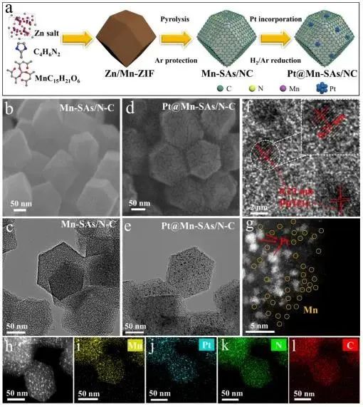 催化頂刊集錦：Nature子刊.、Angew.、JACS、ACS Catalysis、AFM、Small等成果