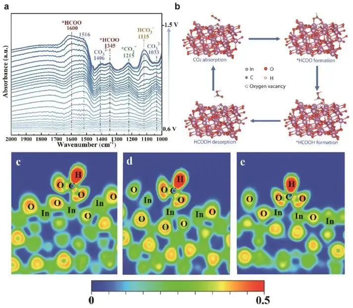 催化頂刊集錦：Nature子刊.、Angew.、JACS、ACS Catalysis、AFM、Small等成果