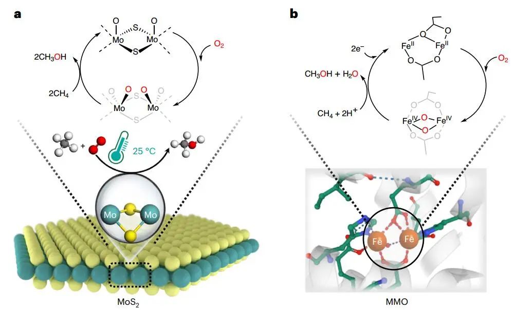 計算文獻速遞：Nature Catalysis、EES、JACS、Chem、EnSM、Nat. Commun.等！