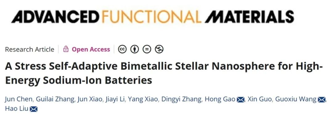 ?悉尼科大/上大AFM：用于高能鈉離子電池的應力自適應雙金屬恒星結構納米球