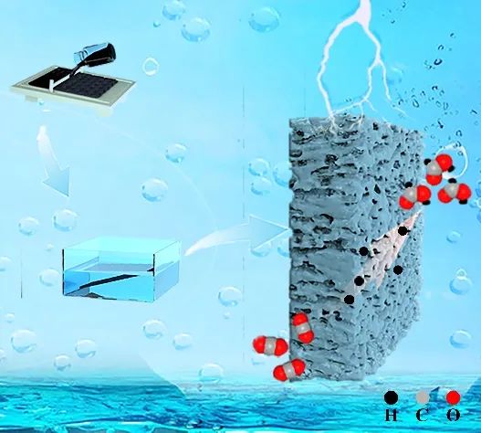 天大康鵬課題組Small：相轉移誘導的三維多孔電極用于酸性CO2電還原制備甲酸