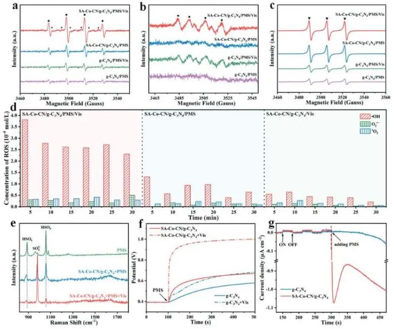 催化頂刊集錦：Nature子刊、AM、AFM、ACS Catalysis、Carbon Energy、Small等
