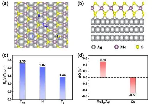 ?鄭大ACS Catalysis：理論計算！探究不同Cu物種上CO2選擇性加氫制甲醇的動力學