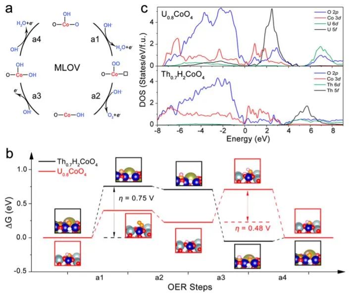 8篇催化頂刊：JACS、ML、JMCA、Small Methods、Small、Appl. Catal. B.等成果