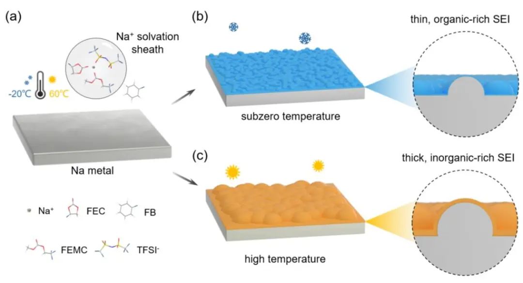 ?同濟羅巍Nano Energy：溫度響應型SEI，-20至60 ℃寬溫鈉金屬電池！