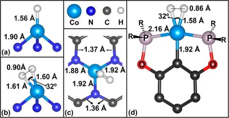 8篇催化頂刊：Nat. Commun.、JACS、Angew.、Nat. Catal.、Nano Energy等成果