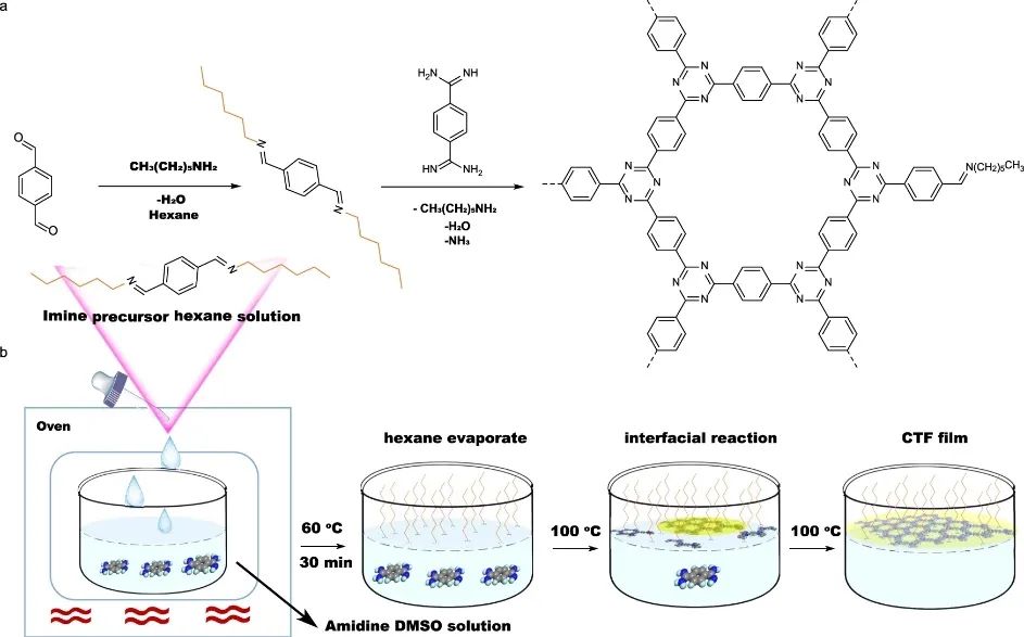 華科譚必恩Nature子刊：大橫向尺寸、可控厚度！固定化CTFs薄膜助力光催化HER