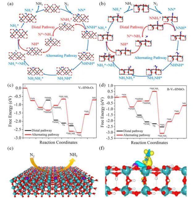 大工侯軍剛ACS Nano: 二維缺陷硼摻雜鈮酸納米片用于穩健的氮光固定