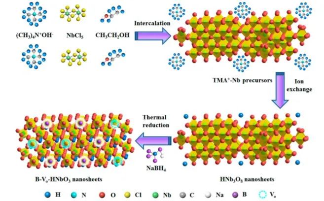 大工侯軍剛ACS Nano: 二維缺陷硼摻雜鈮酸納米片用于穩健的氮光固定
