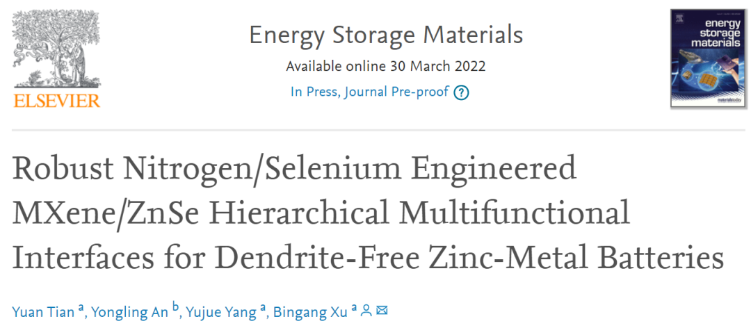 香港理工徐賓剛EnSM: 用于無枝晶鋅金屬電池的穩定分層多功能界面