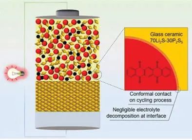 王永剛/胡炳文AEM: 基于硫化物電解質的高穩定性鋰有機全固態電池