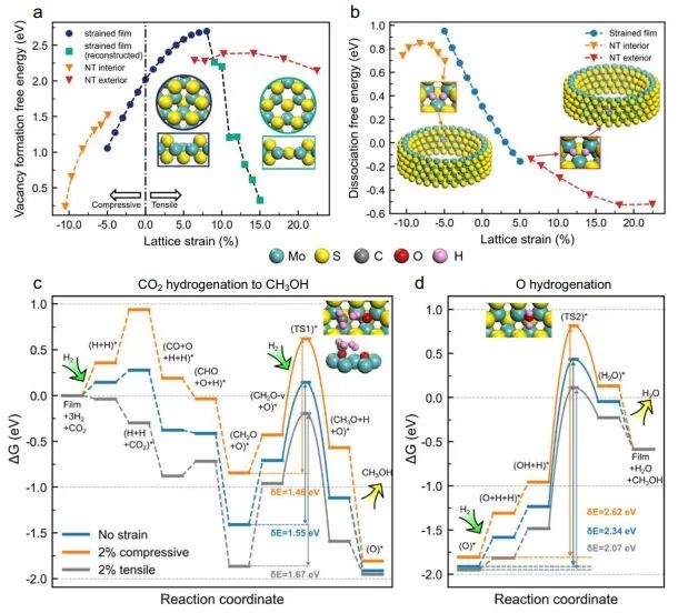 催化頂刊集錦：Angew、JACS、Nature子刊、AFM、ACS Catal.、Adv. Sci.等成果