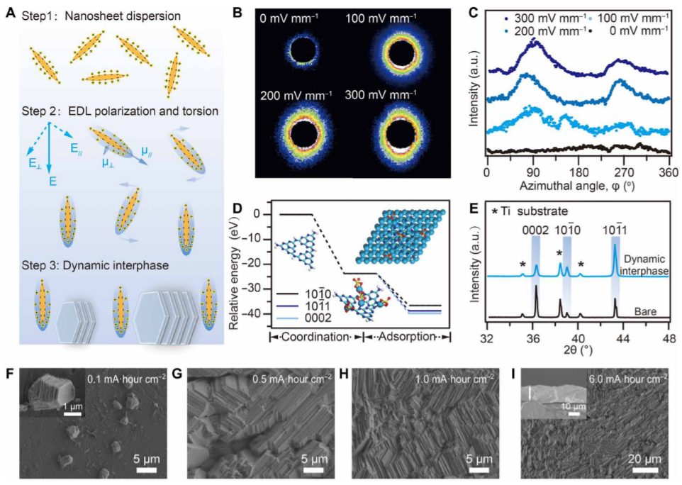 浙大陸盈盈Science Advances：動態界面介導金屬沉積，助力深度循環金屬電池
