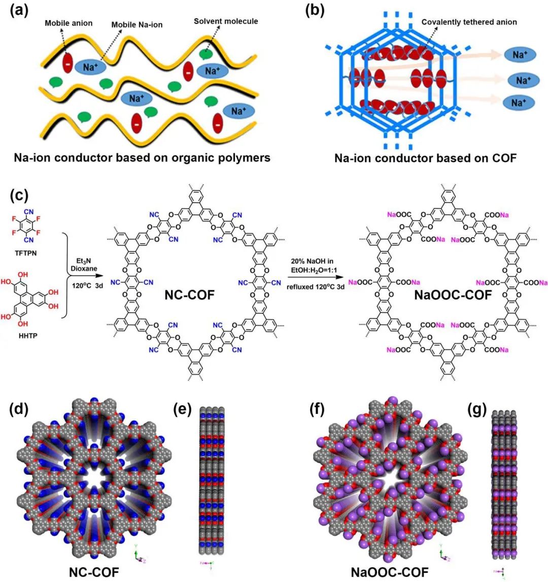 孫學良院士/郭洪/呂鵬鵬Nano Energy：功能化COF基電解質加速Na+擴散并抑制枝晶生長