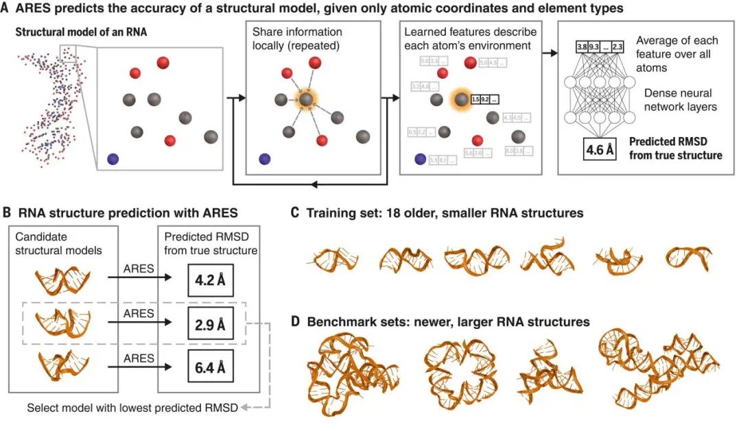 斯坦福大學Science：RNA結構的幾何深度學習