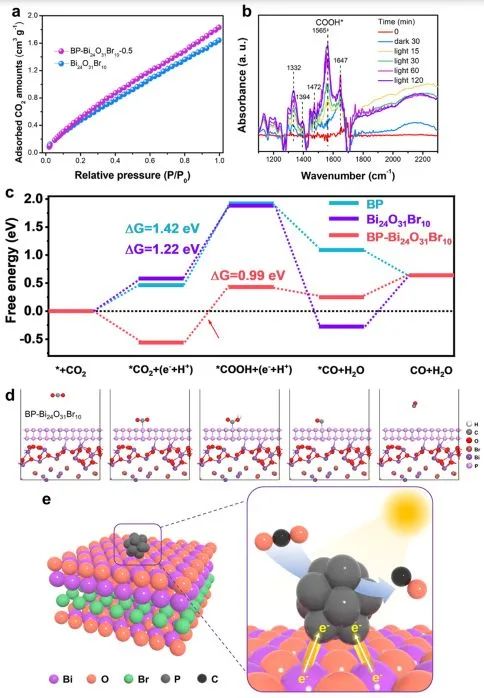 ACS Catalysis：表面和界面雙極化促進BP-Bi24O31Br10高效光催化CO2RR